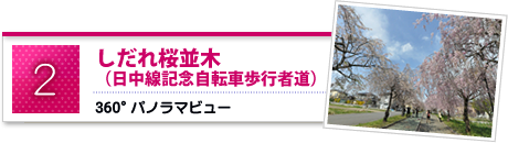 しだれ桜の道のパノラマビュー