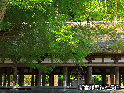 トップスライド06　新宮熊野神社長床