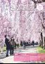 広報きたかた5月号