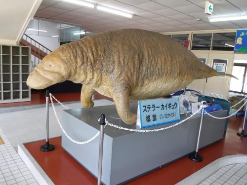 ステラかいぎゅ