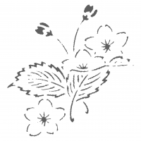 網目に桜ワンポイント