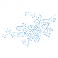 紫陽花ワンポイント