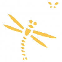 蜻蛉ワンポイント