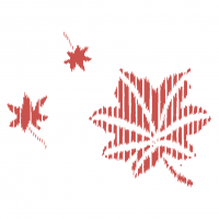 紅葉ワンポイント
