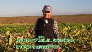 さといも生産者