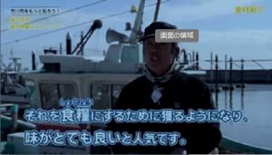 ホンビノス貝の漁師