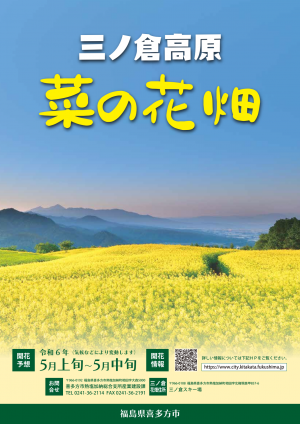 菜の花フェスタチラシ