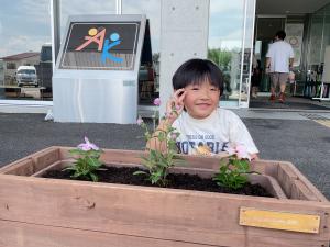 寄せ植えの様子1