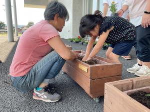 寄せ植えの様子2