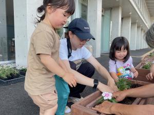 寄せ植えの様子4