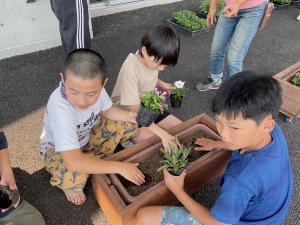 寄せ植えの様子5