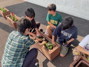 寄せ植えの様子6
