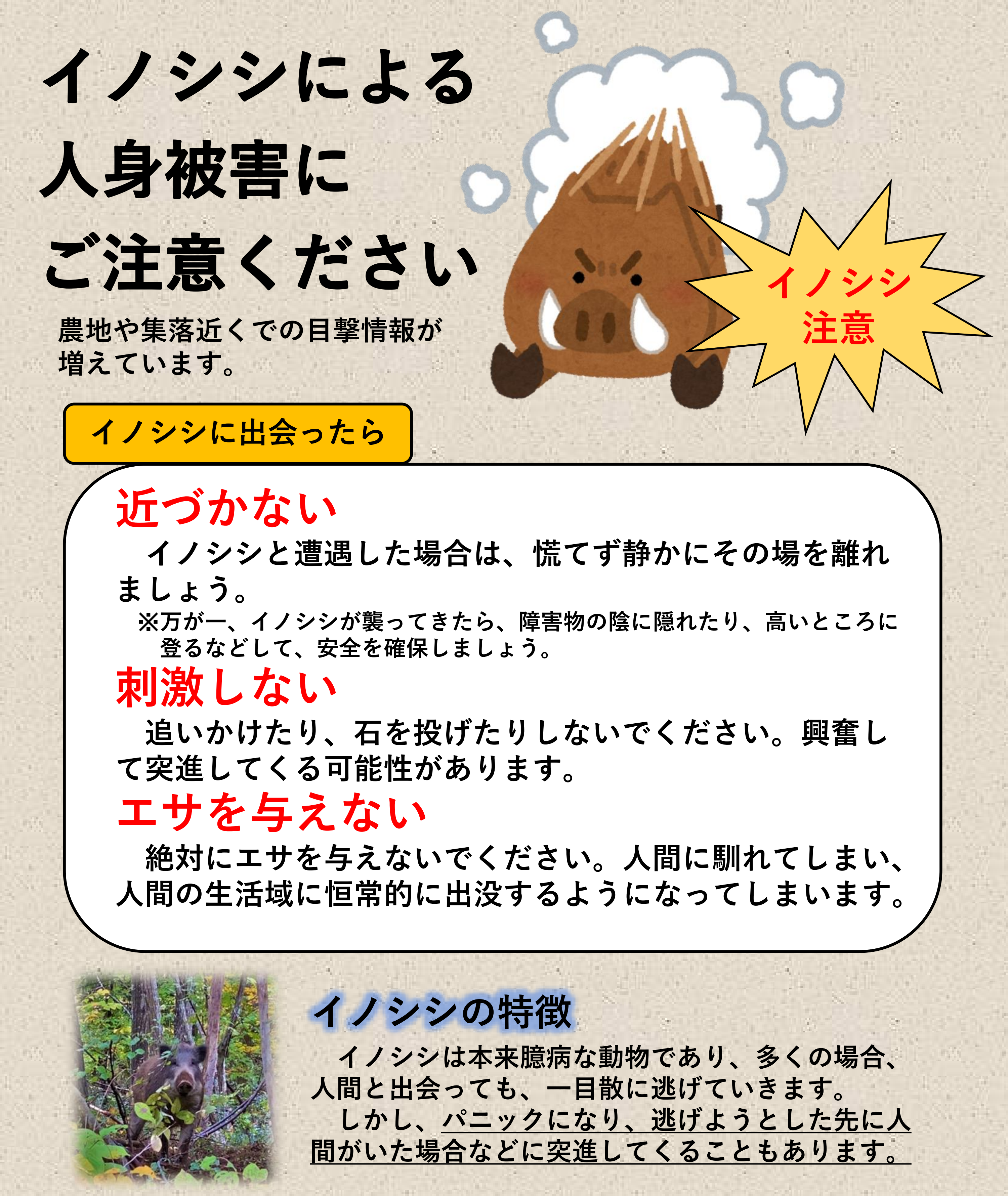 イノシシ注意
