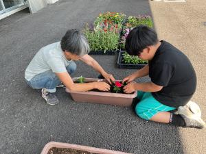 寄せ植えの様子