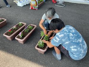寄せ植えの様子