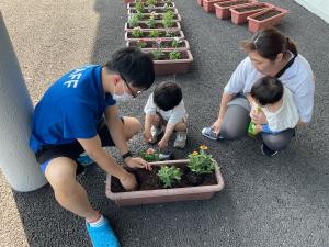 寄せ植えの様子