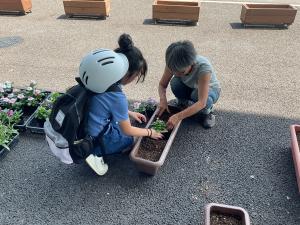 寄せ植えの様子