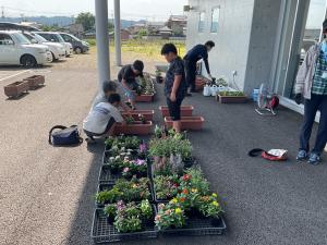 寄せ植えの様子