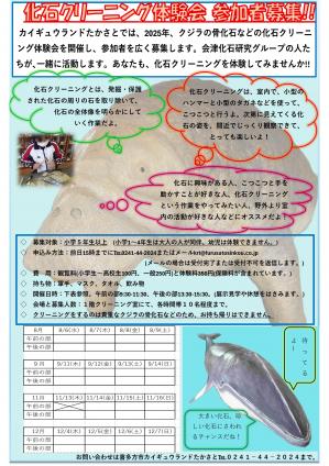 化石クリーニング体験会