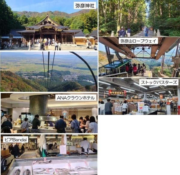 弥彦神社・ホテルランチビュッフェ日帰り旅行