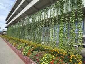 第一小学校花壇