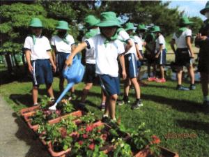 松山小学校