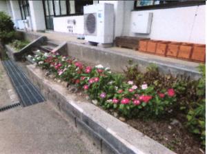 高郷小学校