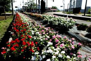 豊川町ボランティアあゆみの会