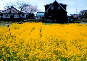 新井田谷地日本一美味しい米の里環境保全委員会・㈱ベスト
