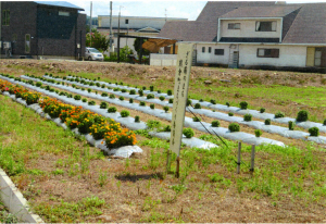 熊倉町まちづくり委員会
