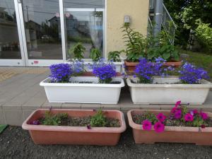 松山公民館　花の楽校