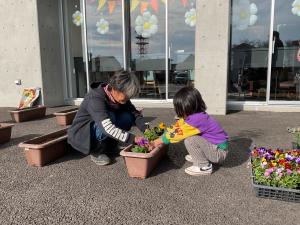 寄せ植えの様子