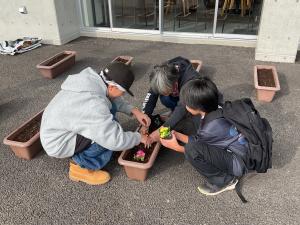 寄せ植えの様子