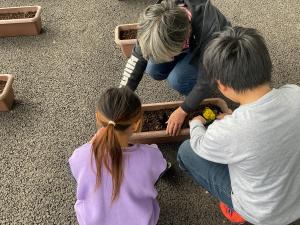 寄せ植えの様子