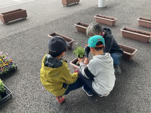 寄せ植えの様子