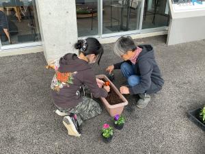 寄せ植えの様子