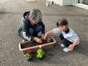 寄せ植えの様子