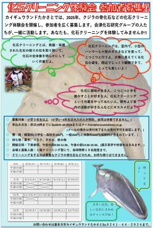 化石クリーニング体験会