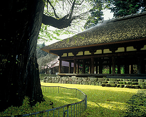 新宮熊野神社　長床