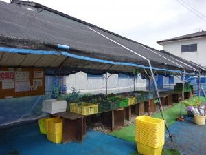 熊倉野菜直売所