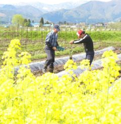 喜多方市定住コンシェルジュのイメージ画像