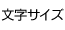 文字サイズ