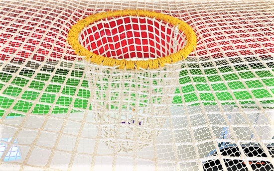 みのむしネットの写真