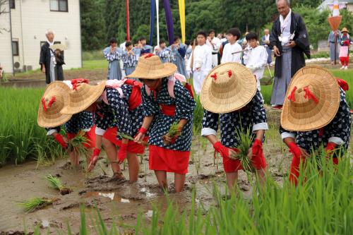 慶徳稲荷神社御田植祭