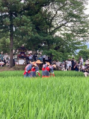 御田植②