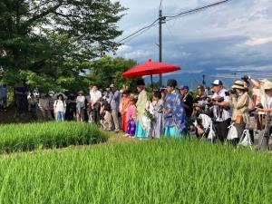 御田植③