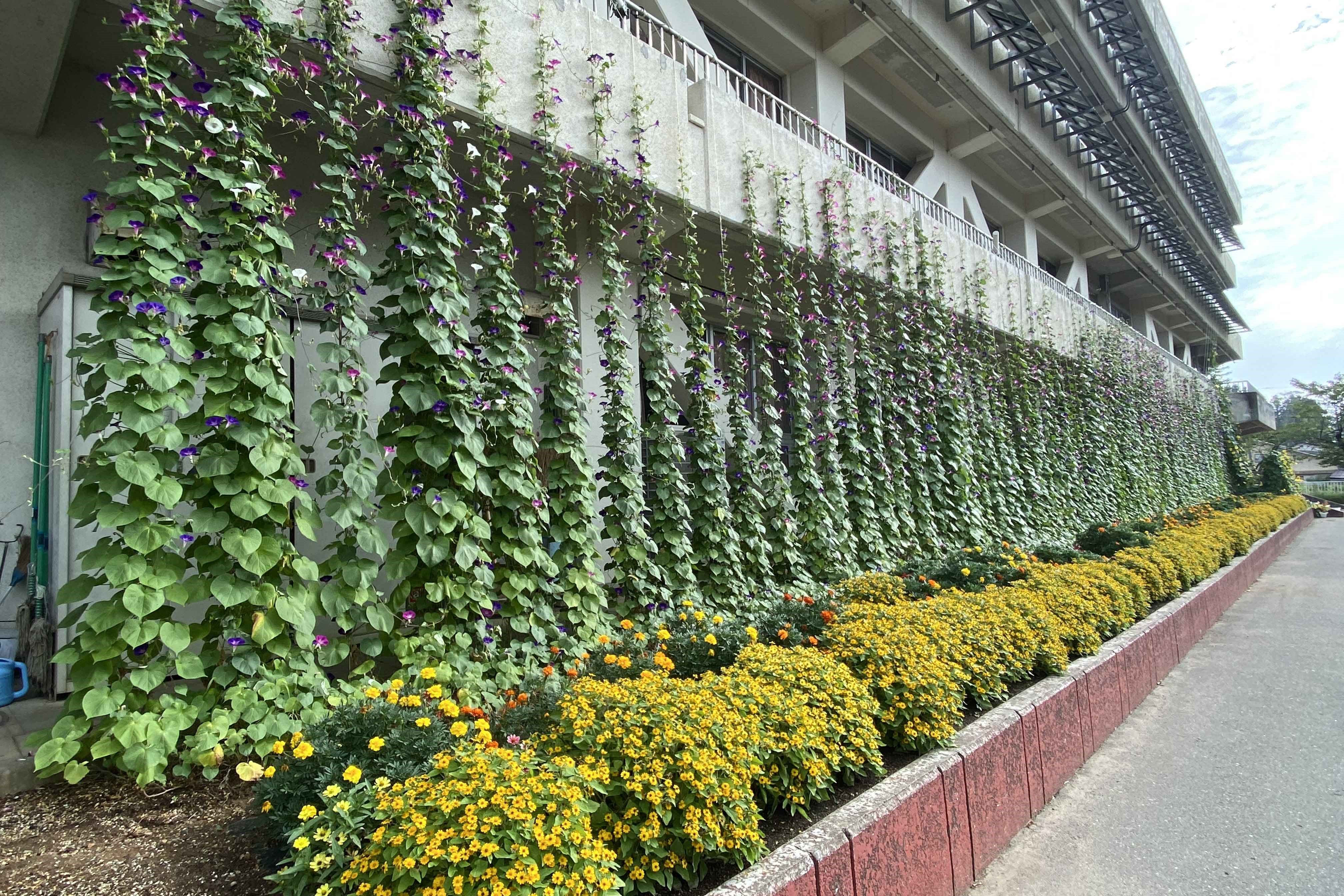 第一小学校