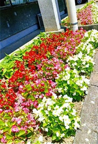 喜多方市ボランティア連絡協議会