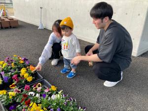花植えの様子1