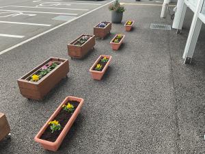寄せ植えの様子1